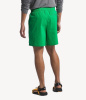 Шорты TNF Wander Short 2.0 (Мужской; S; OpticEmerald)